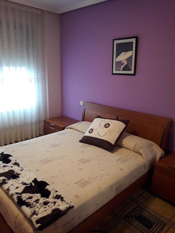 Mirador Del Duero Apartment Zamora Exterior photo